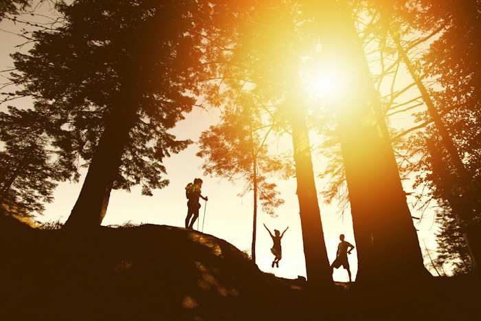 Silhouetted travellers with the sun bursting through the trees